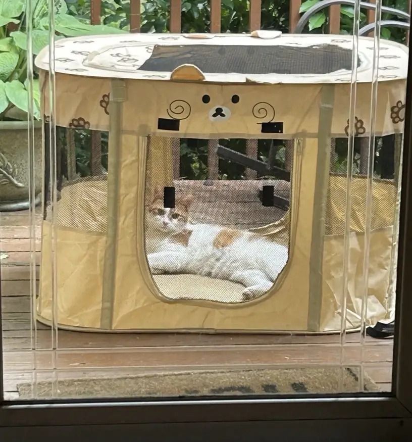 メッシュ素材
