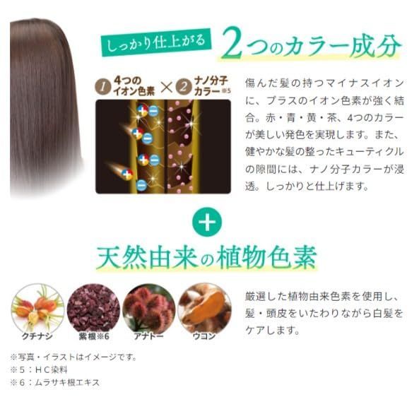 特価商品】利尻カラーシャンプー 自然派clubサスティ (ブラック