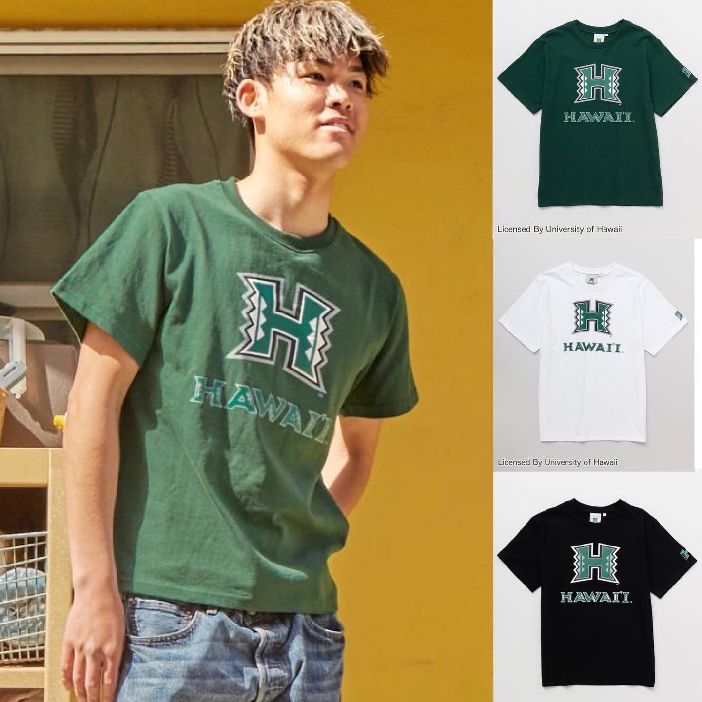 ハワイ大学】メンズTシャツ Tシャツ 半袖 トップス ロゴTシャツ ハワイ