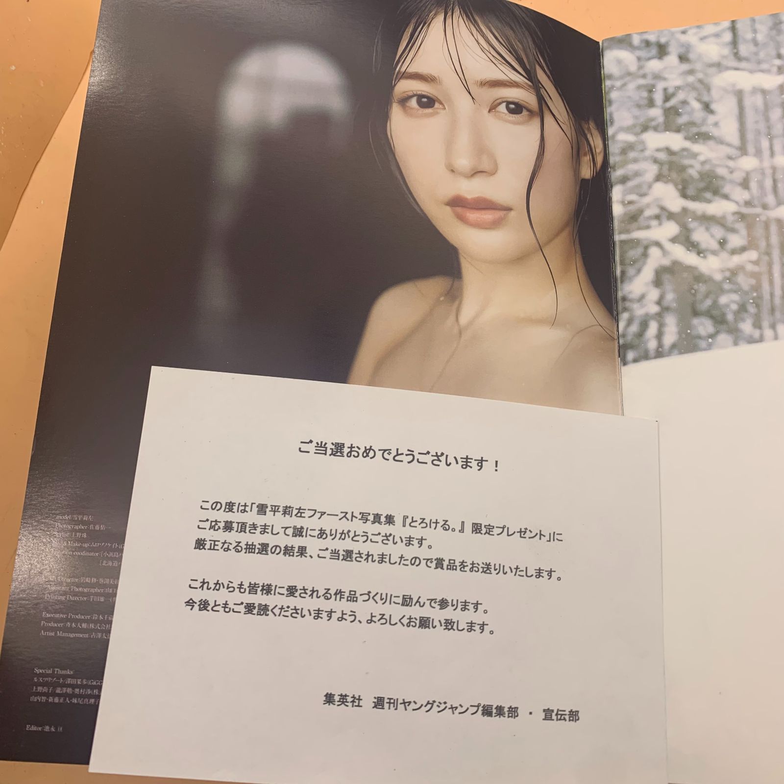 雪平莉左 とろける。 アザーカット写真集 200冊限定 プレゼント当選品 