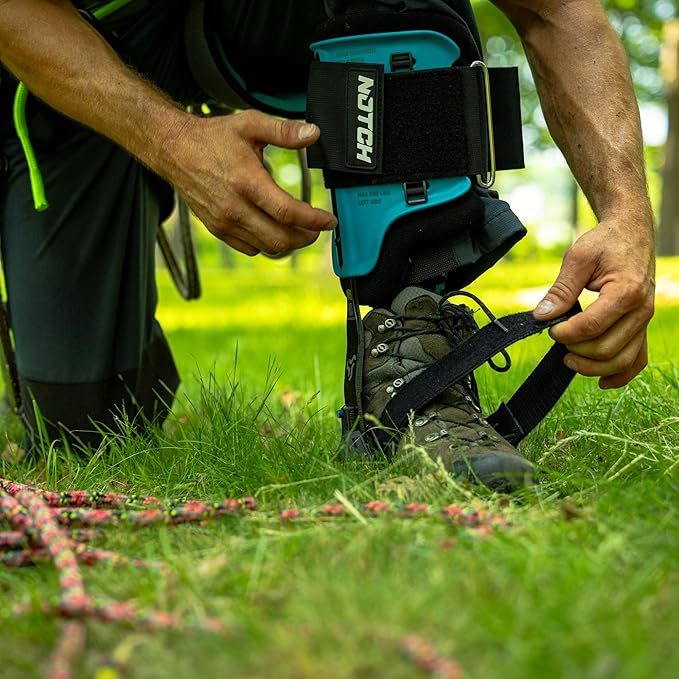 ツリークライミング