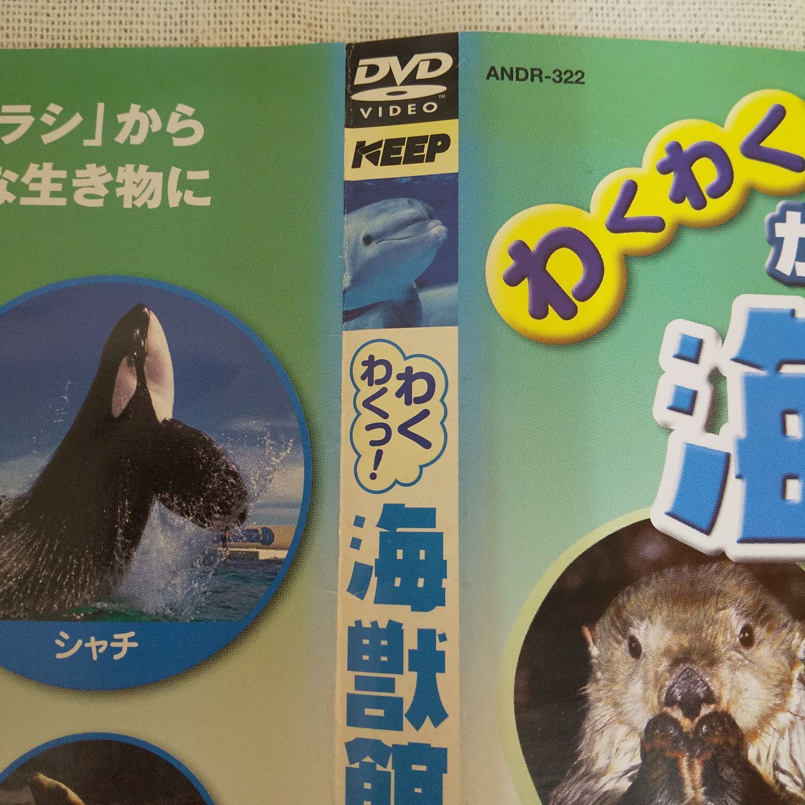 わくわくっ！ 海獣館ウオッチング レンタル専用 中古 DVD ケース
