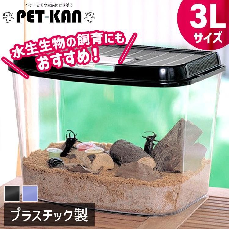 昆虫飼育用ケースまとめ売り Amazon.co.jp: 昆虫飼育ケース 伸縮式虫取り網 虫かご 4点セット