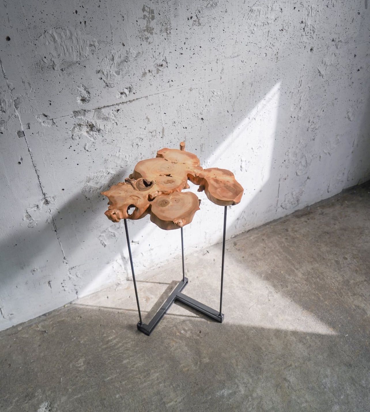 イチョウのディスプレイテーブル