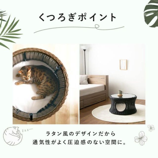 ネコ