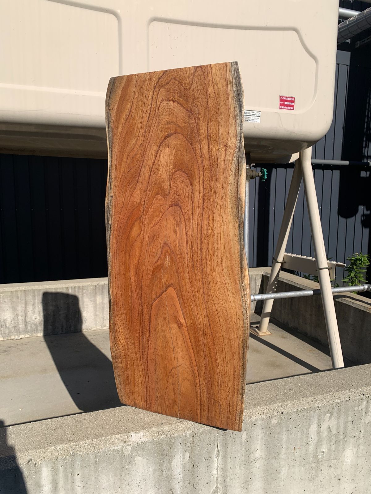 センダン 栴檀 一枚板 78cm 板材 木材 [599]