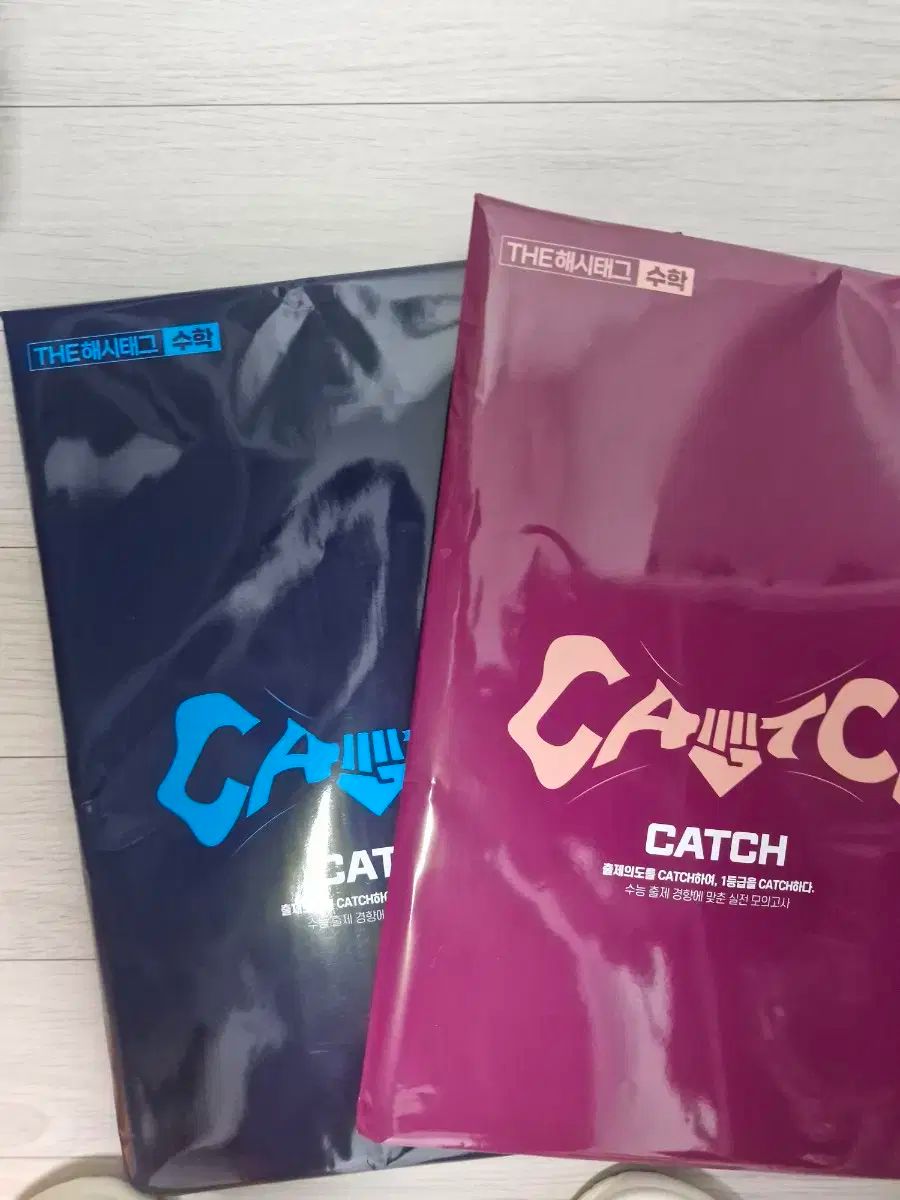 キャッチ catch 数学 模擬試験 16 灰