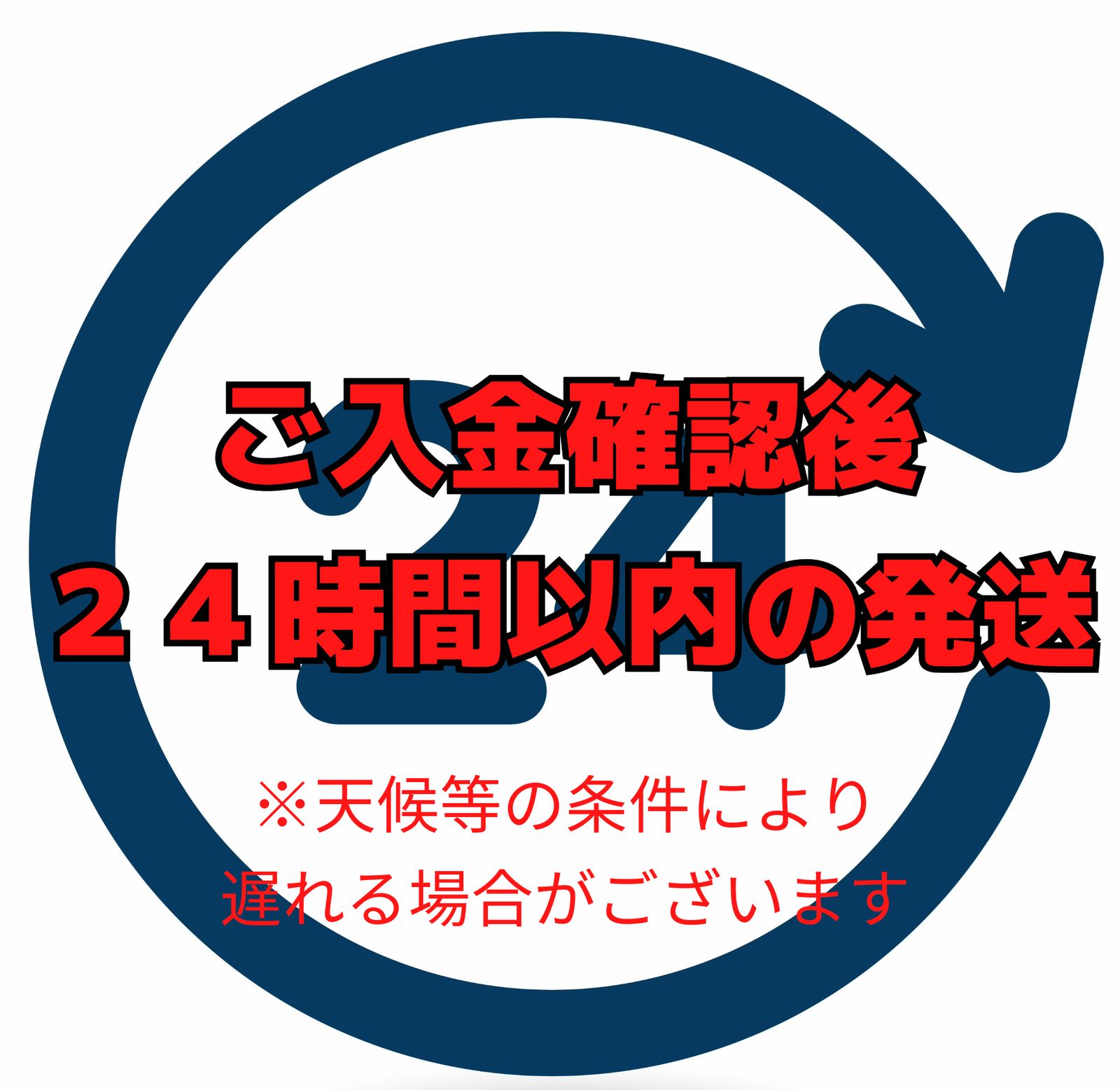 日本サッカー協会オフィシャルフィルム SAMURAI BLUE 1392日の軌跡