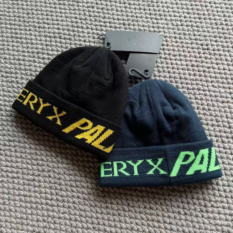 Palace arcteryx パレス　アークテリクス　ビーニー　ニット帽