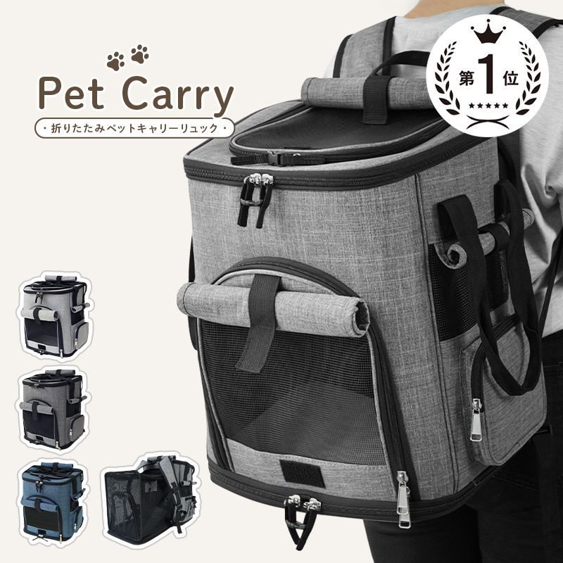 エギ王K ダートマスタ エギングライトプロ エメラルダスバッグ