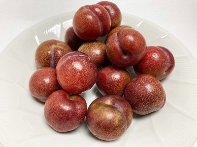 鹿児島県 奄美大島産 すもも プラム 約5kg ご家庭用 M Lサイズ 小玉 加工用 不揃い傷あり 花螺李 がらり からり 傷あり チルド便 マン ＭＡＮ
