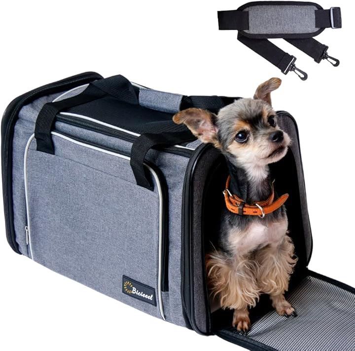 数論入門II 原書6版 (数学クラシックス)