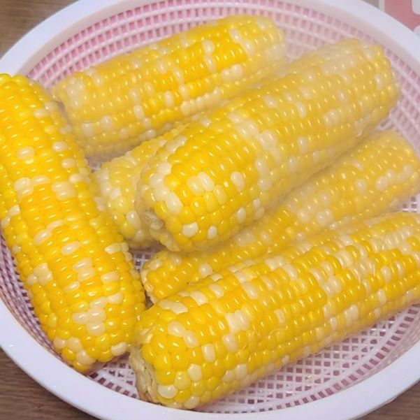 7月予約】極甘とうもろこし ハニーバンタム 1kg超 - メルカリ