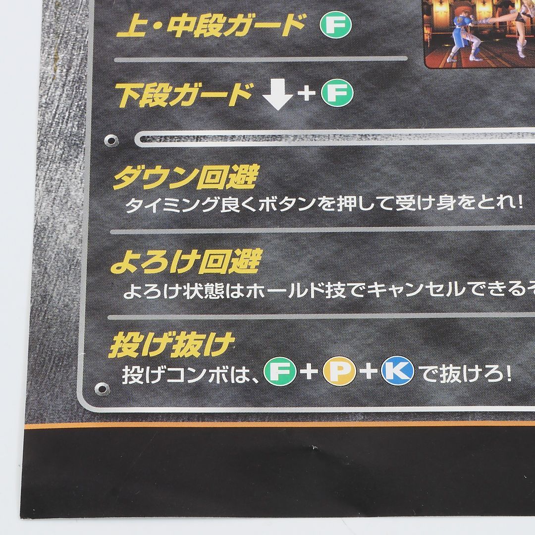 純正インスト+取扱説明書 デッドオアアライブ2 TECMO 出品654