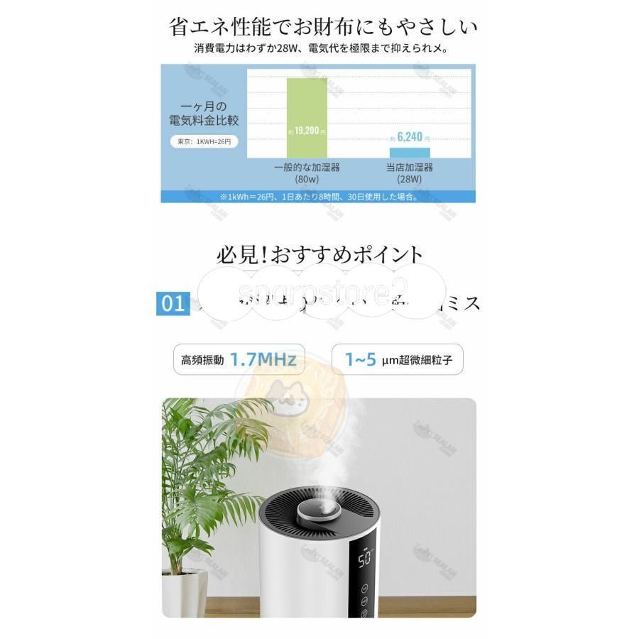 40畳 ウイルス除去