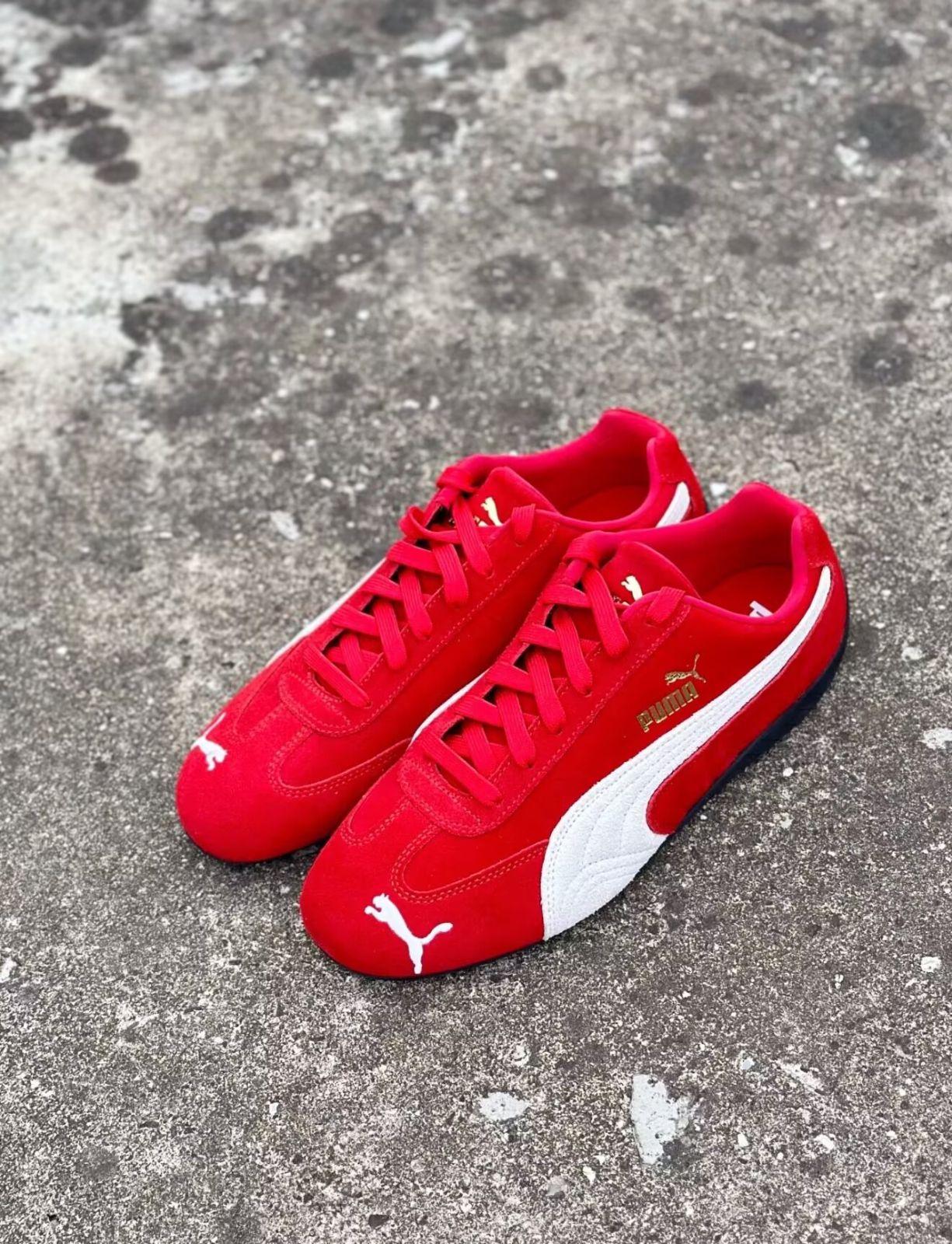 新品 未使用 PUMA スピードキャット 赤 25.0 PUMA スニーカー 「PUMA / プーマ」スピードキャット OG レッド