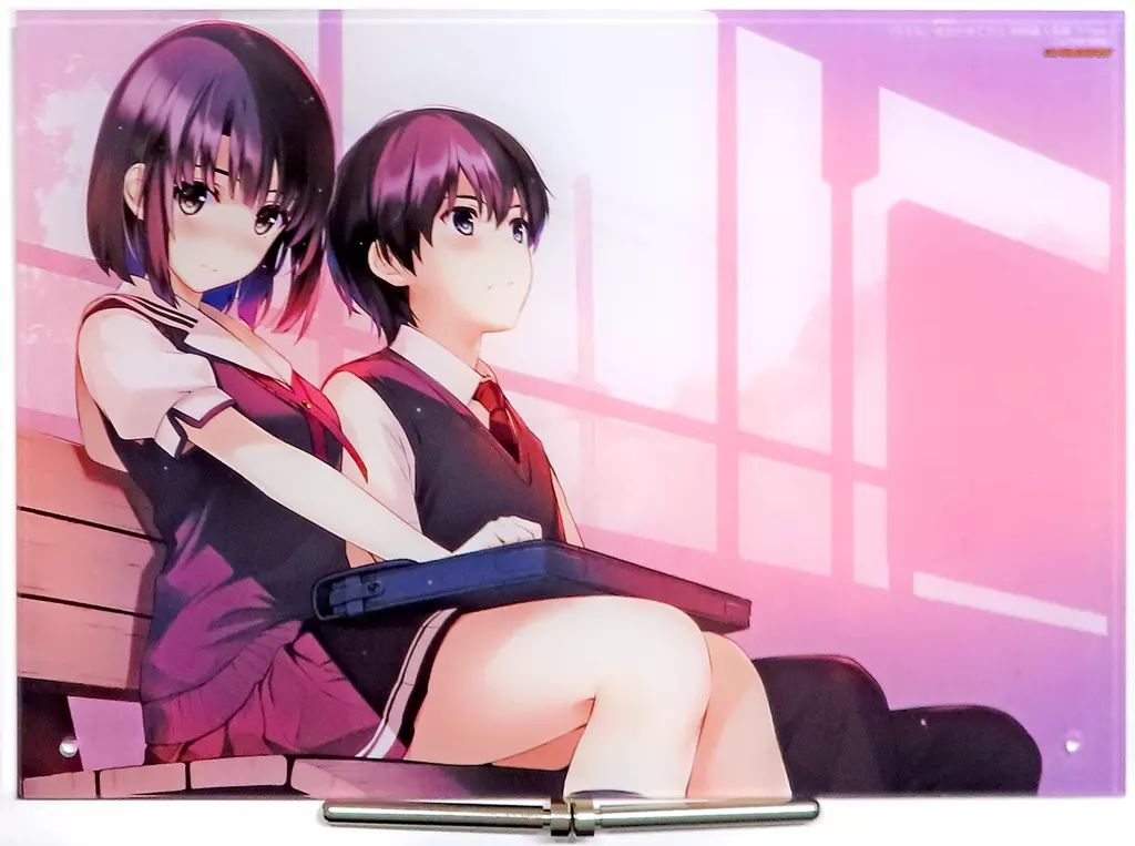 冴えない彼女の育てかた Blu-ray box とらのあな アクリルプレート