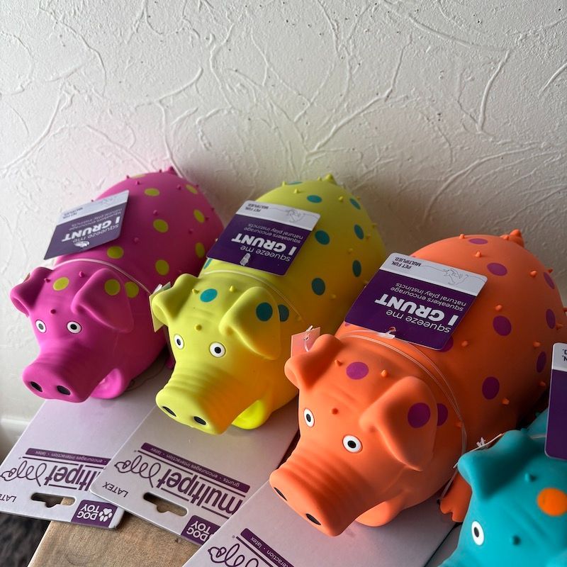 ラテックスグランティングピッグMULTIPET Grunting Pigs 9"