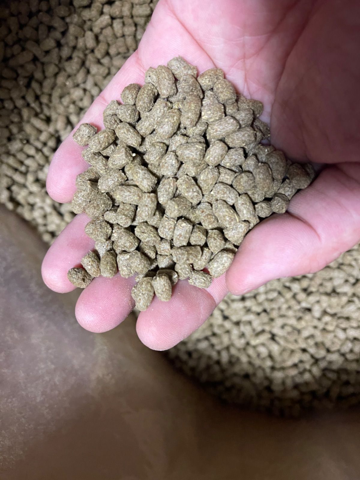 オリエンタル酵母　BC-6、　13キロ　カモ、アヒル、コールダック飼料　業務用 オリエンタル酵母 BC-6、 4キロ カモ、アヒル、コールダック飼料