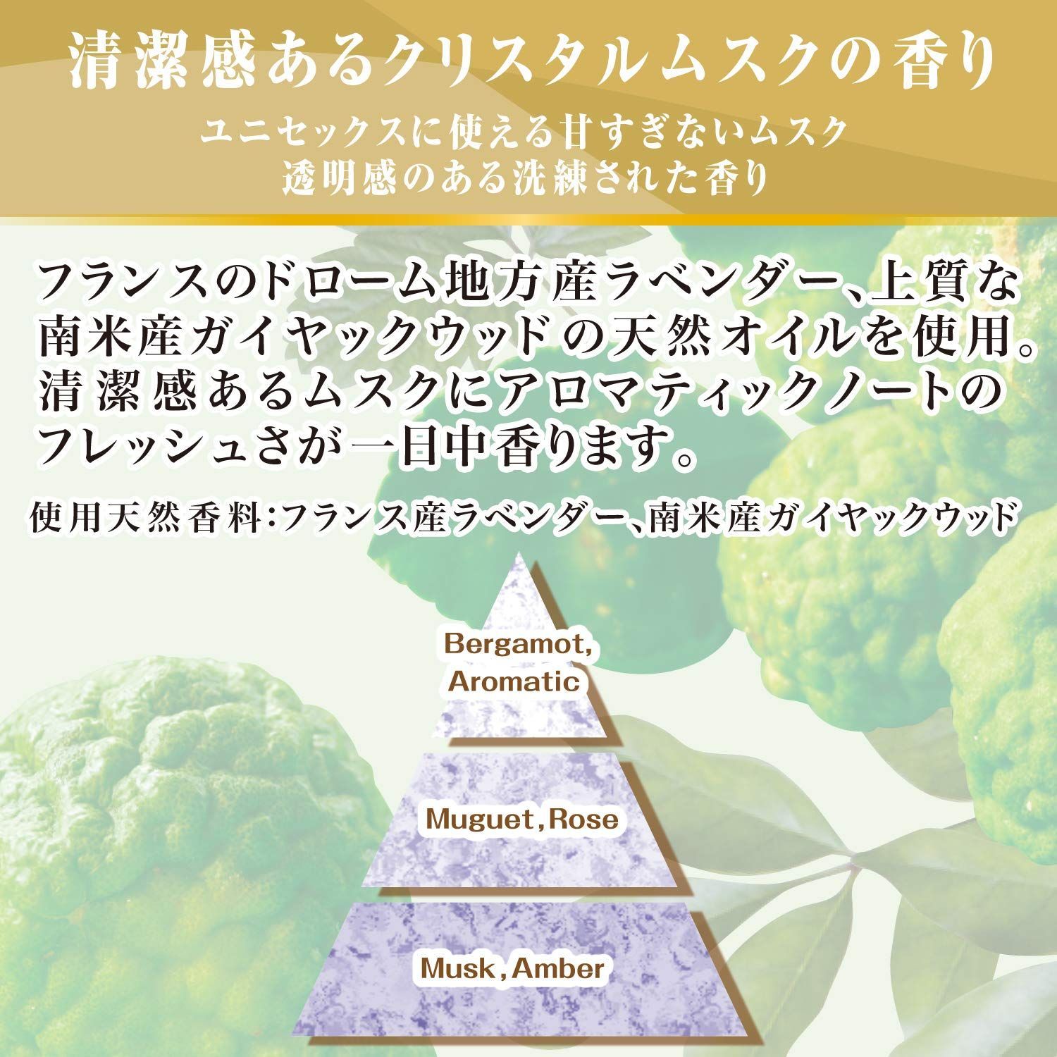 【数量限定】香水調クリスタルムスクの香り 詰替用 (homme) オム 濃縮柔軟剤 500ml ファインフレグランス 液体 ファーファ