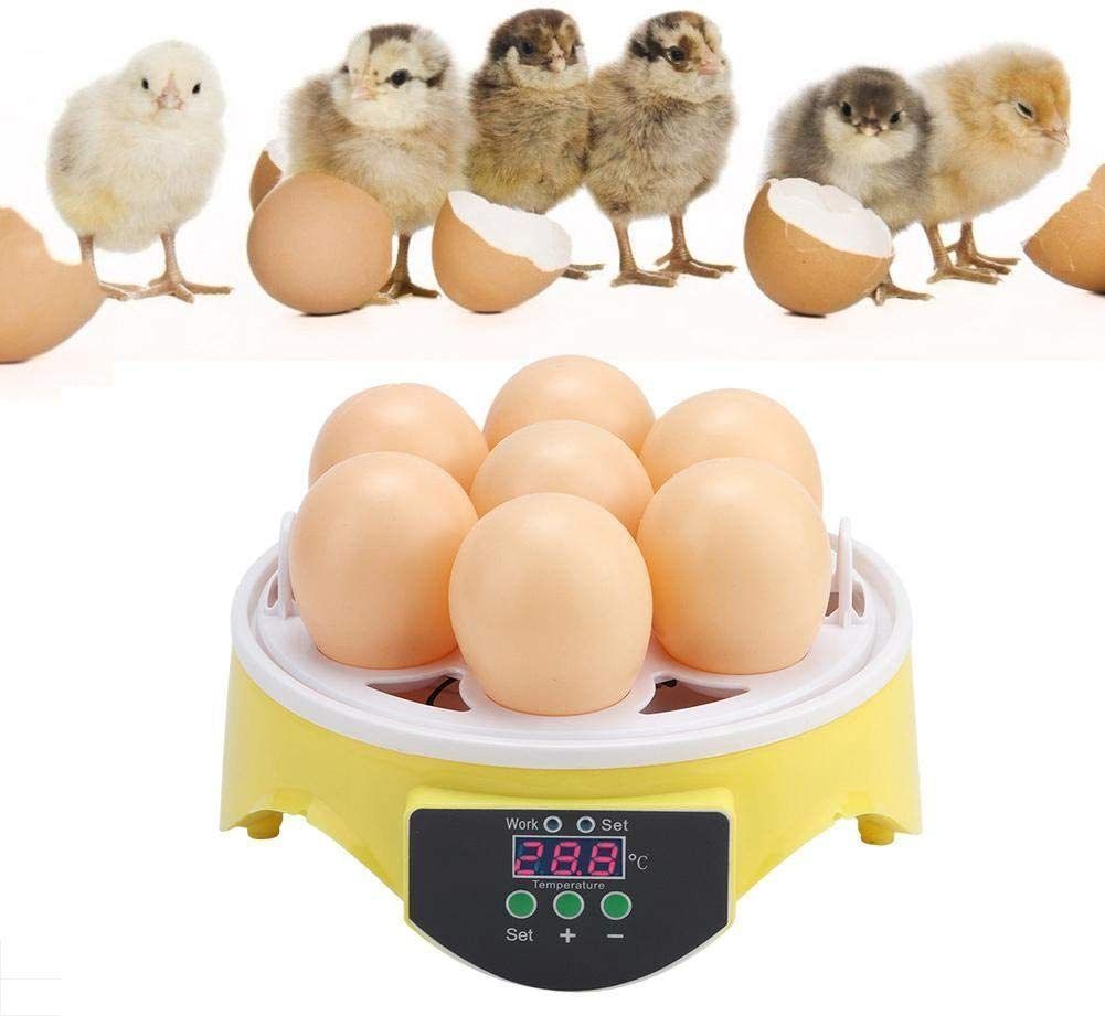 自動孵卵器 インキュベーター 7個 自動温度制御 鳥類専用孵卵器 簡単