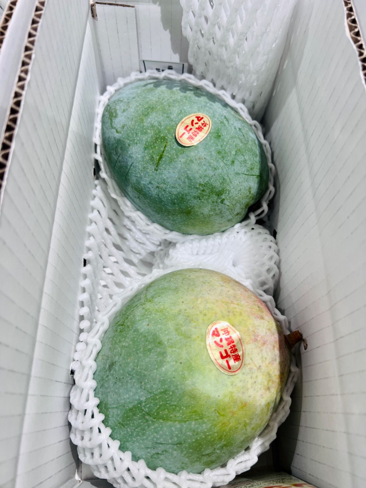 2個入り