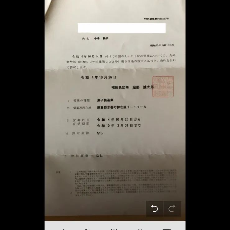 tencham様専用 おやつ便 シフォンケーキサンド チーズケーキ
