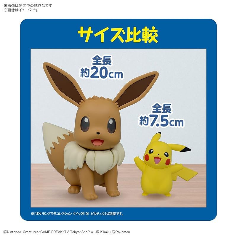 ポケモン - イーブイコレクション　プロモ PSA6】ポケモンセンター イーブイコレクション プロモ 190/BW-P