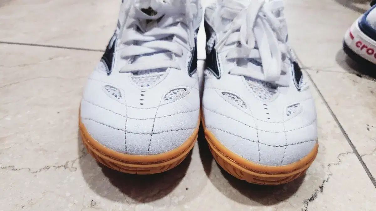 スポーツ大学入試