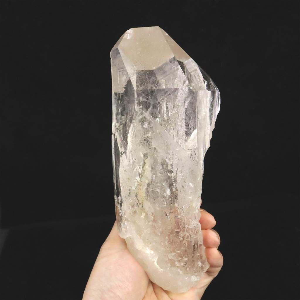 kikko aobouzu 鉢吉光窯【限定】