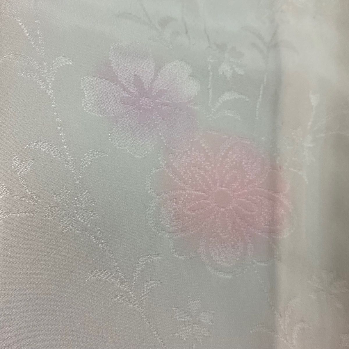 裄丈66cm