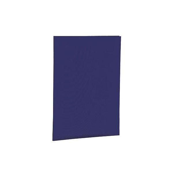 キングジム ファイル SAPIXのテキストにサイズぴったり❗️個数は応