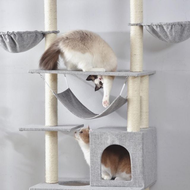 爪とぎ つっぱり