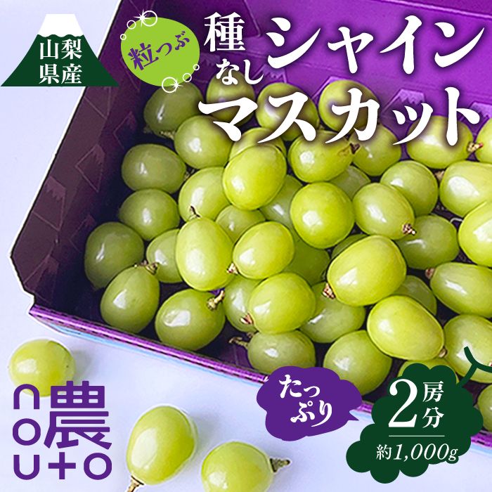 山梨県産 種なし】 シャインマスカット 訳あり【粒 2房分】 シャイン マスカット ぶどう 「nouto～山梨県から産地直送～」 - メルカリ