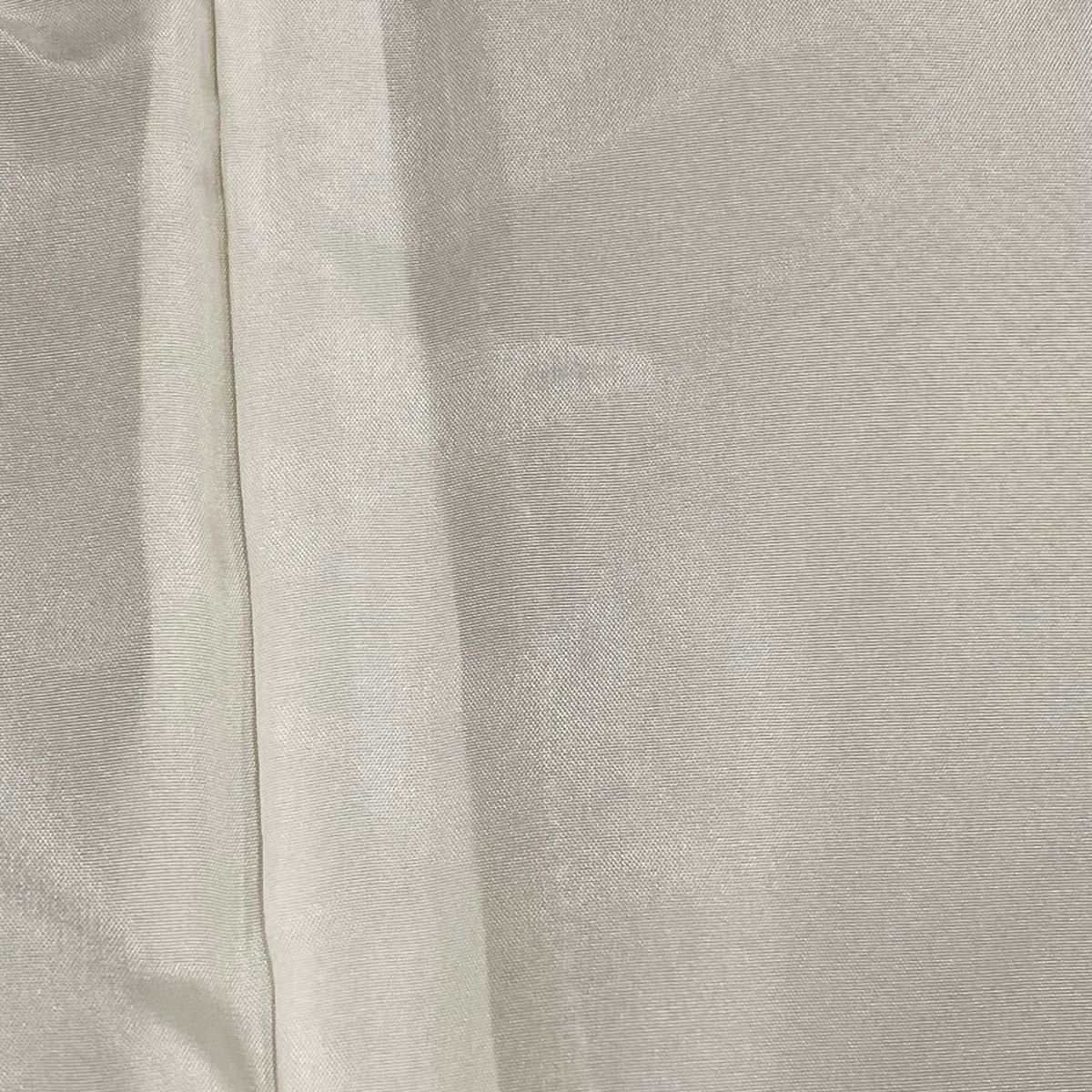 【送料無料】 江戸小紋 身丈168.5cm 裄丈67.5cm L 袷 行儀 ベージュ 正絹 全国送料無料！