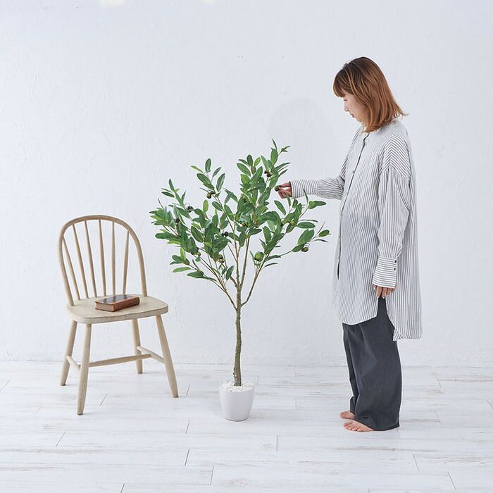 フェイク 光触媒