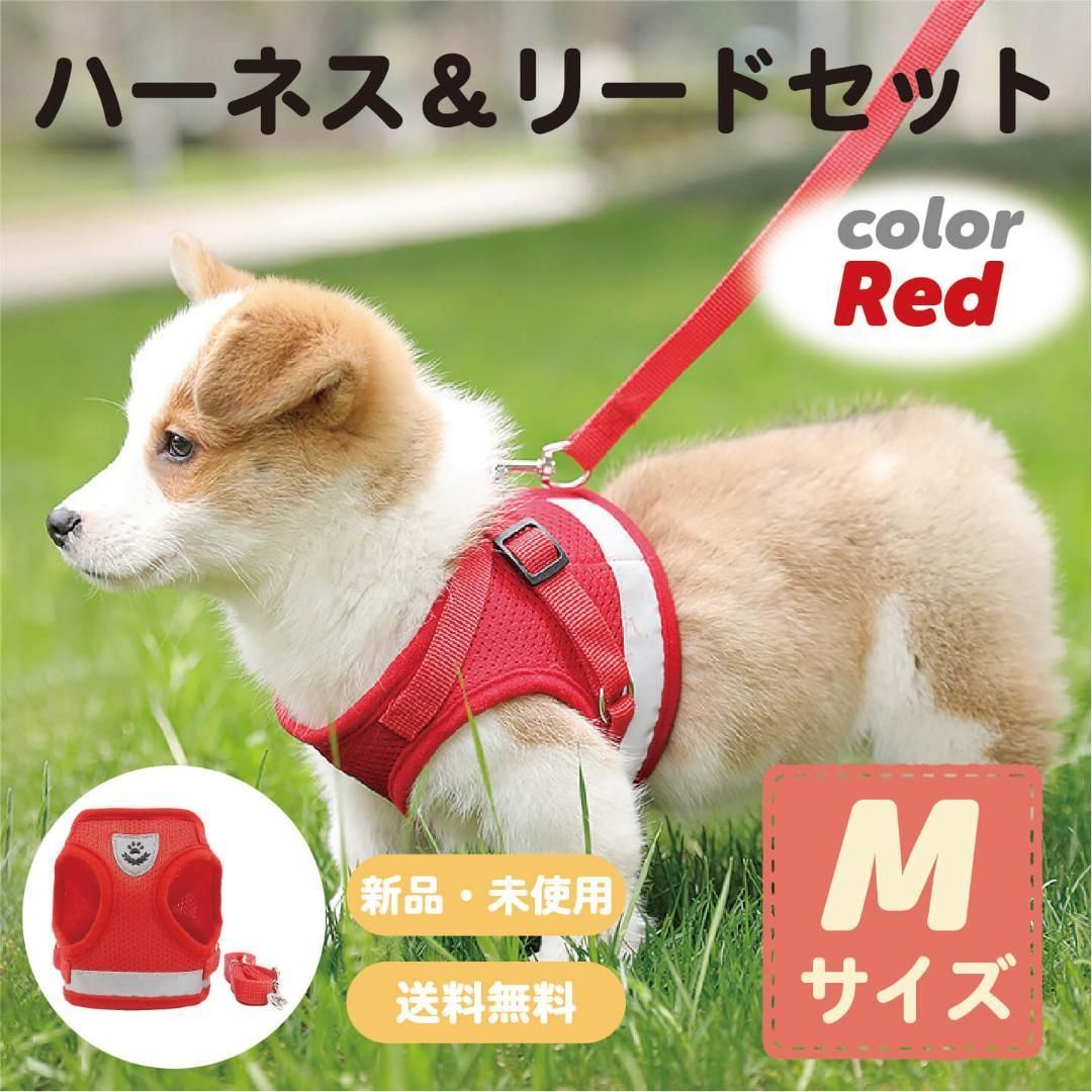 逸品】 犬 猫Mハーネスリード黒 ペット 散歩用 agapeeurope.org