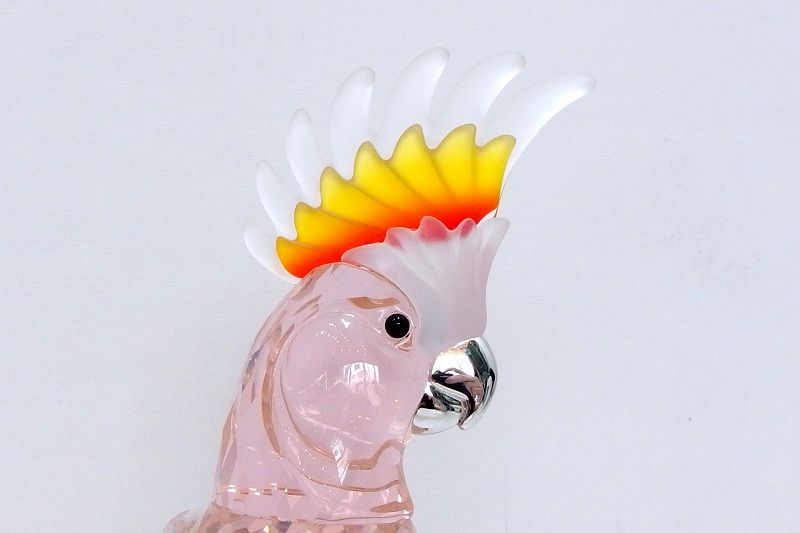 Cockatoo Red