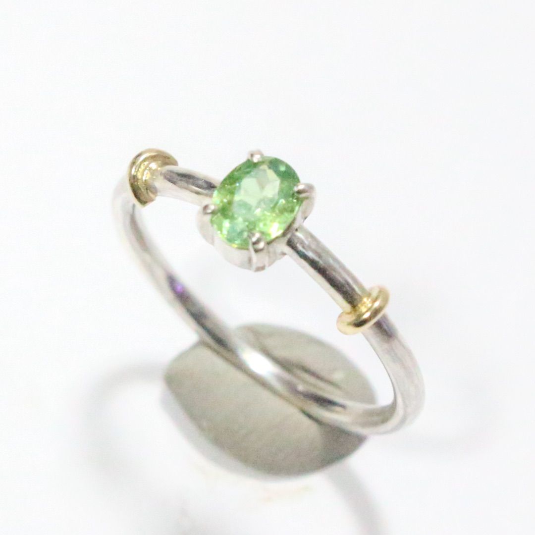 テリ艶⭐︎ナミビア産デマントイドガーネットのK10小ワッカシルバー