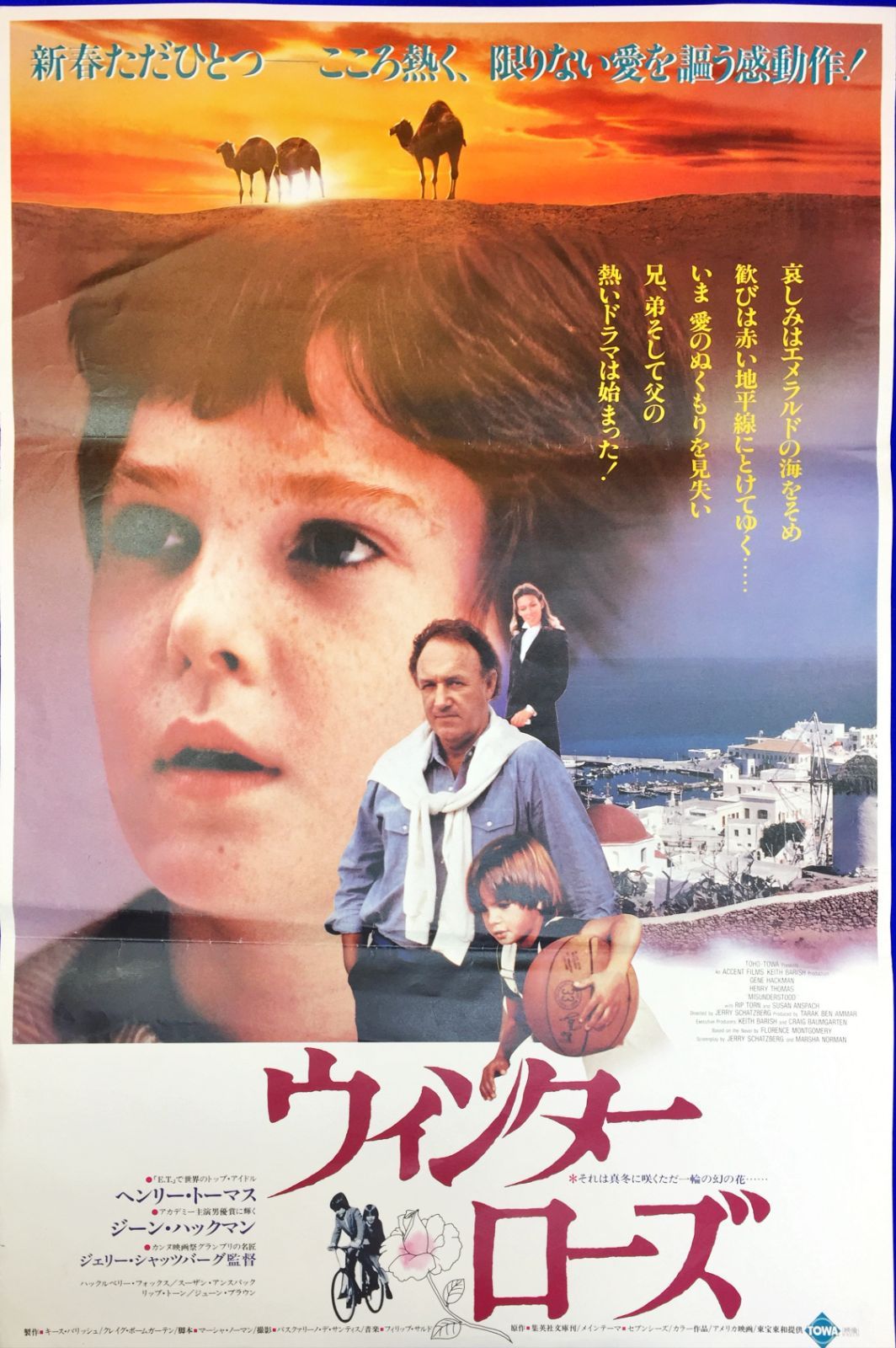 z『ウィンター・ローズ』映画オリジナルB2判ポスター - メルカリ