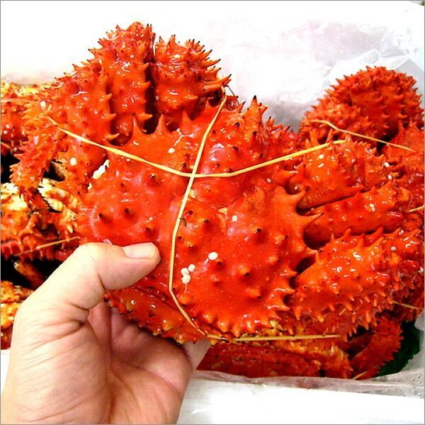 ご家庭用 北海道