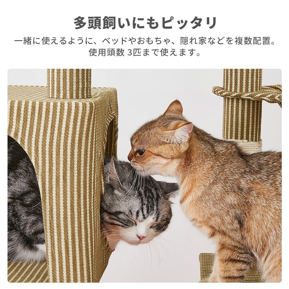 コンパクト 多頭飼い