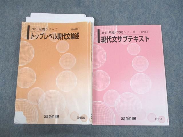 UW11-030 河合塾 トップレベル現代文論述/サブテキスト 2021 基礎/完成シリーズ 計2冊 武下奈二子 23S0C - メルカリ