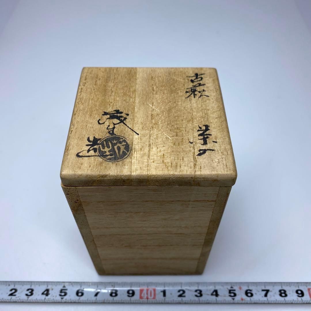 清水茂生 古萩肩衝茶入