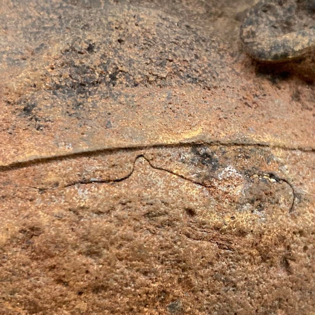 東H5-0806 2Fトニオ