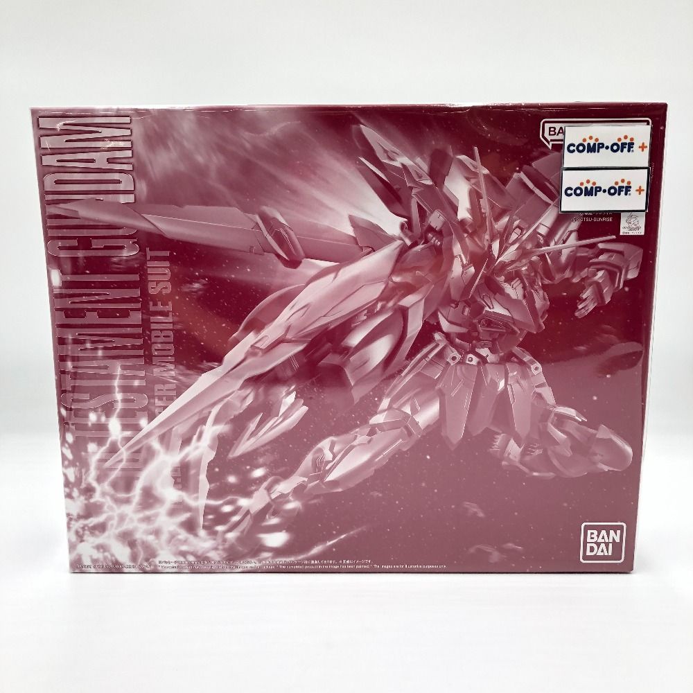 1|100 MG ZGMF-X12A|RGX-00 テスタメントガンダム 機動戦士ガンダムSEED DESTINY ASTRAY 5060920 BANDAI SPIRITS プラモデル 未組立品