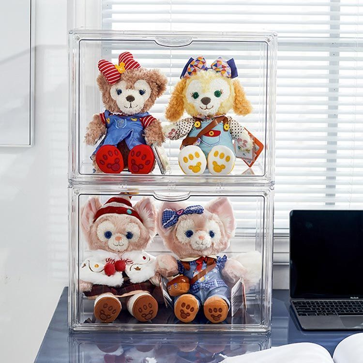 コレクションケース 展示