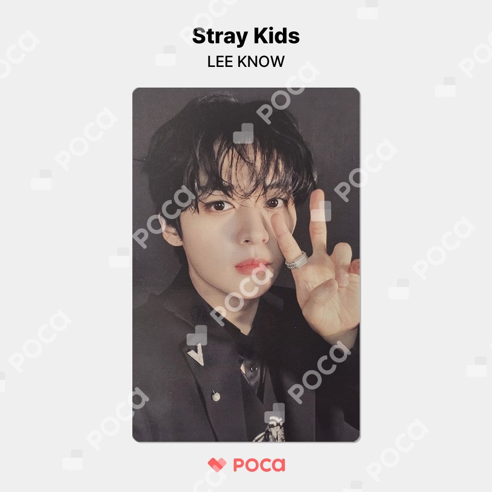 【Pocamarket公式】 【straykids リノ】スキズ 合 (HOP) ACCORDION VER.