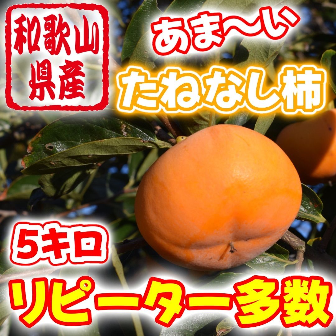 果物コメントから注文をお願いします。中谷早生柿　たねなし柿　2