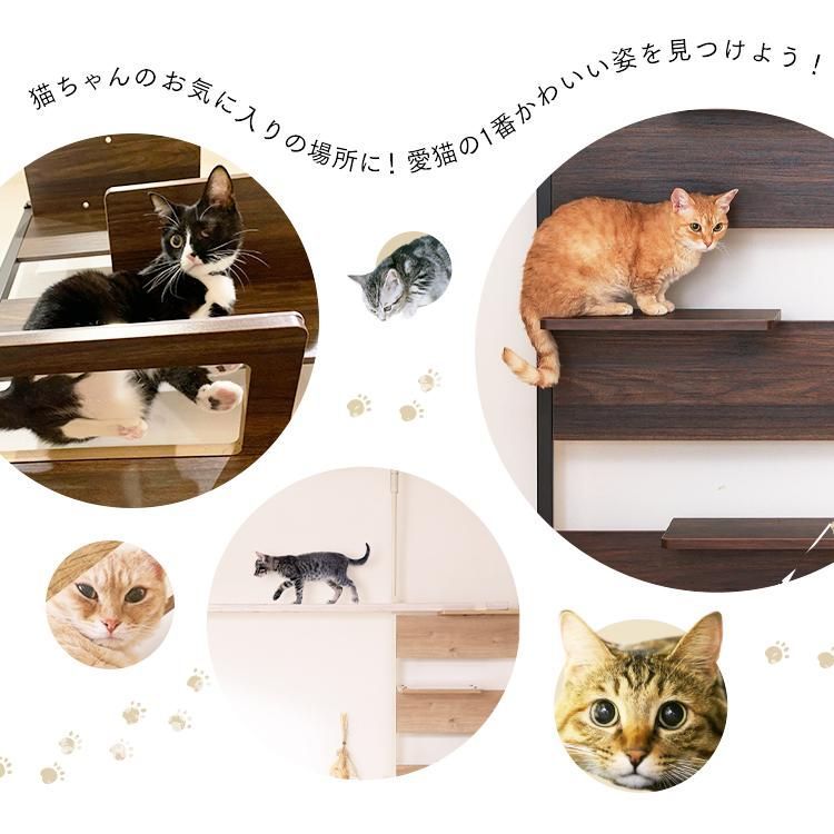 突っ張り